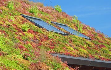 The Hollands living roof systems