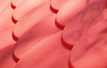 The Hollands plastic roof costs