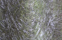 The Hollands fibreglass roof work